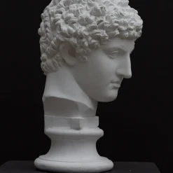 Scultura Busto di Antinoo in Gesso Bianco