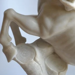 Scultura Centauro Bianco Carrara