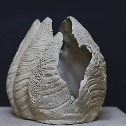 Scultura Conchiglia