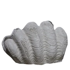 Scultura Conchiglia