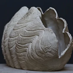 Scultura Conchiglia
