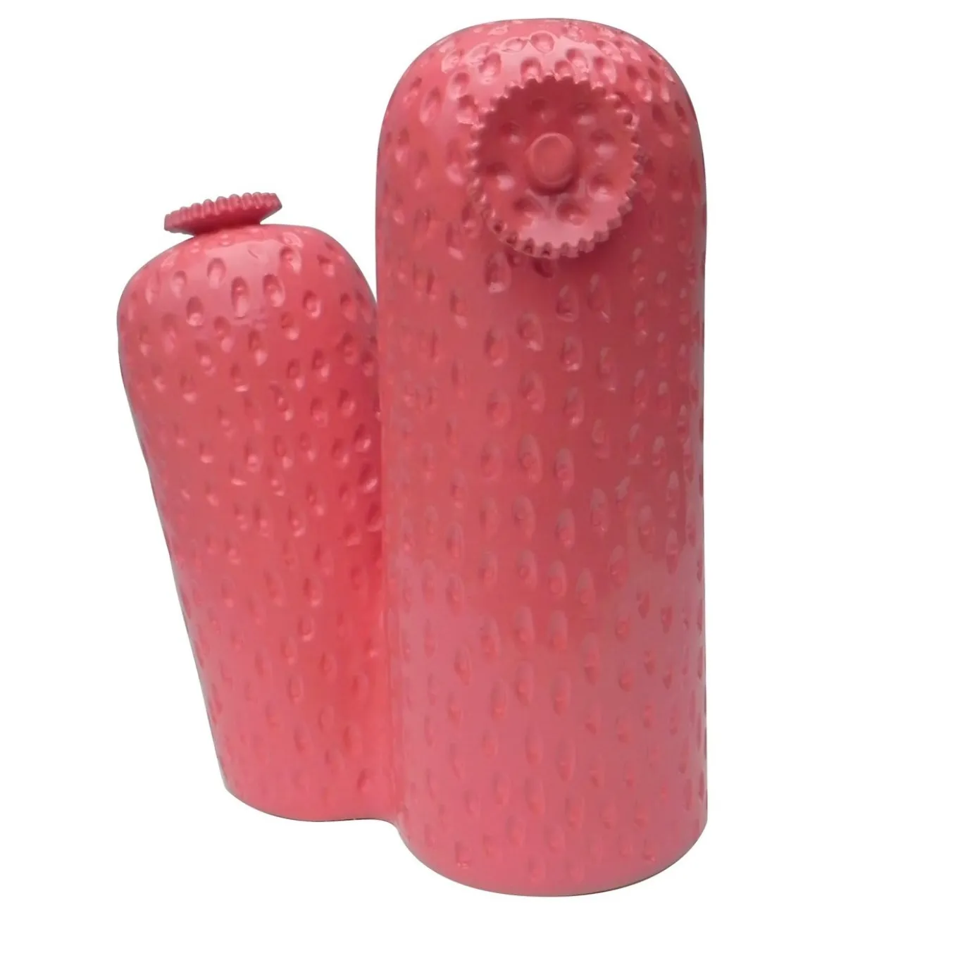Scultura di cactus bifido