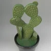 Scultura di cactus in ceramica di Tullio Mazzotti in via Gutierrez