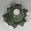 Scultura di cactus in ceramica Boulder Avenue di Tullio Mazzotti