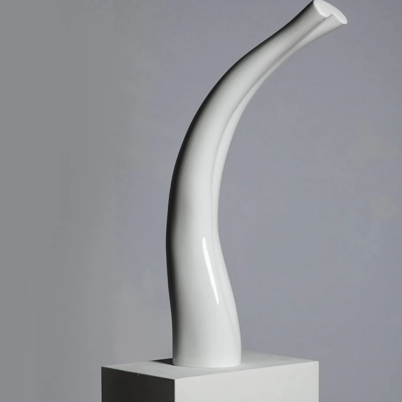 Scultura di stelo bianco