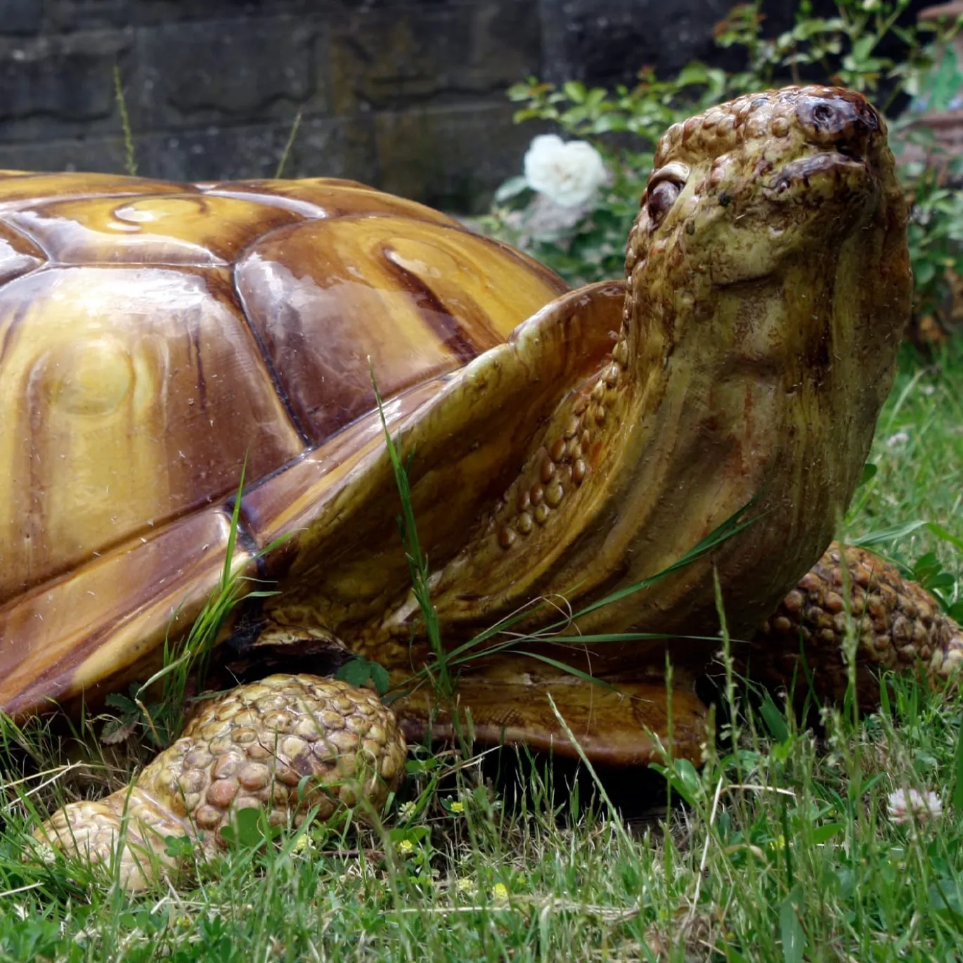 Scultura di tartaruga gigante