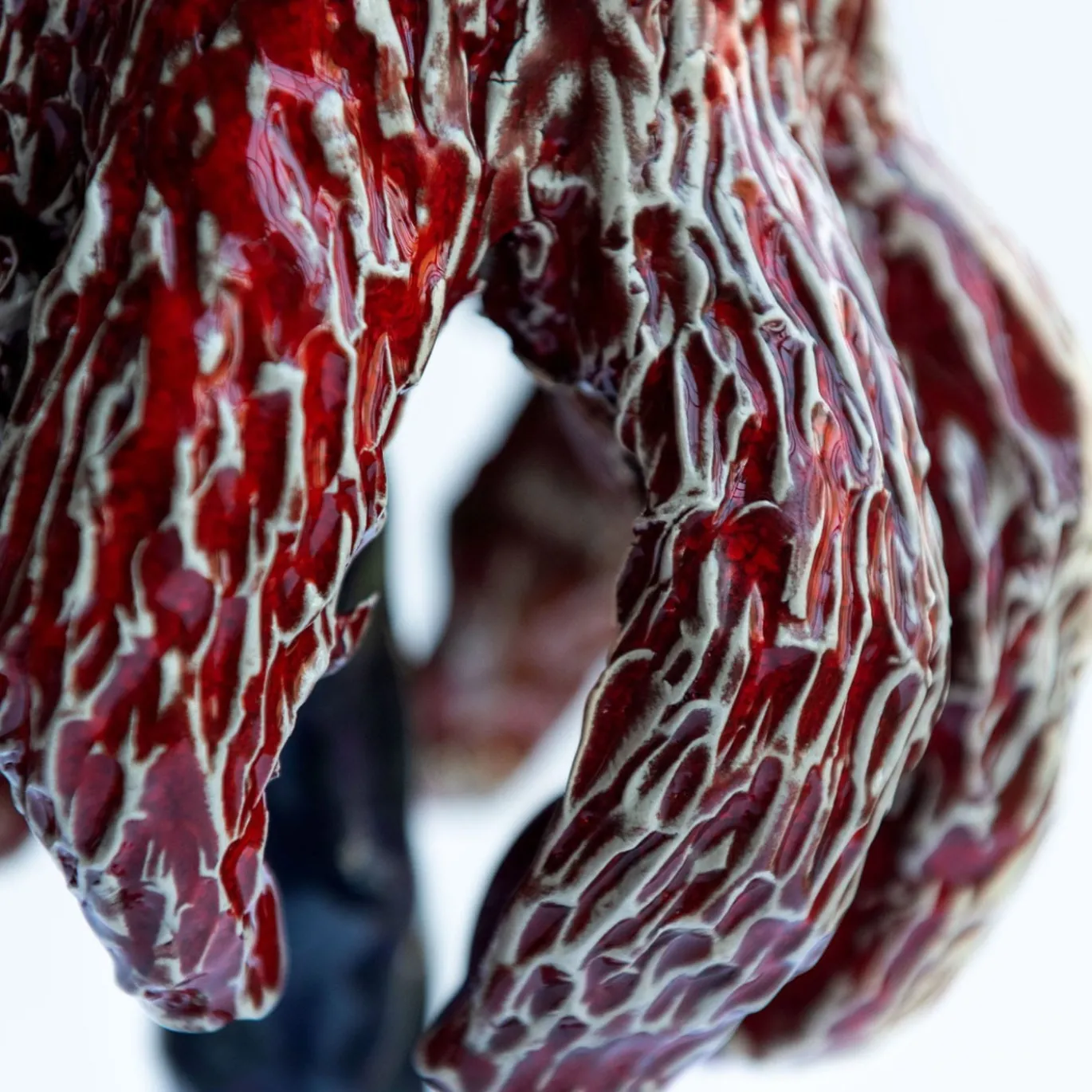 Scultura Funghi #29-2024