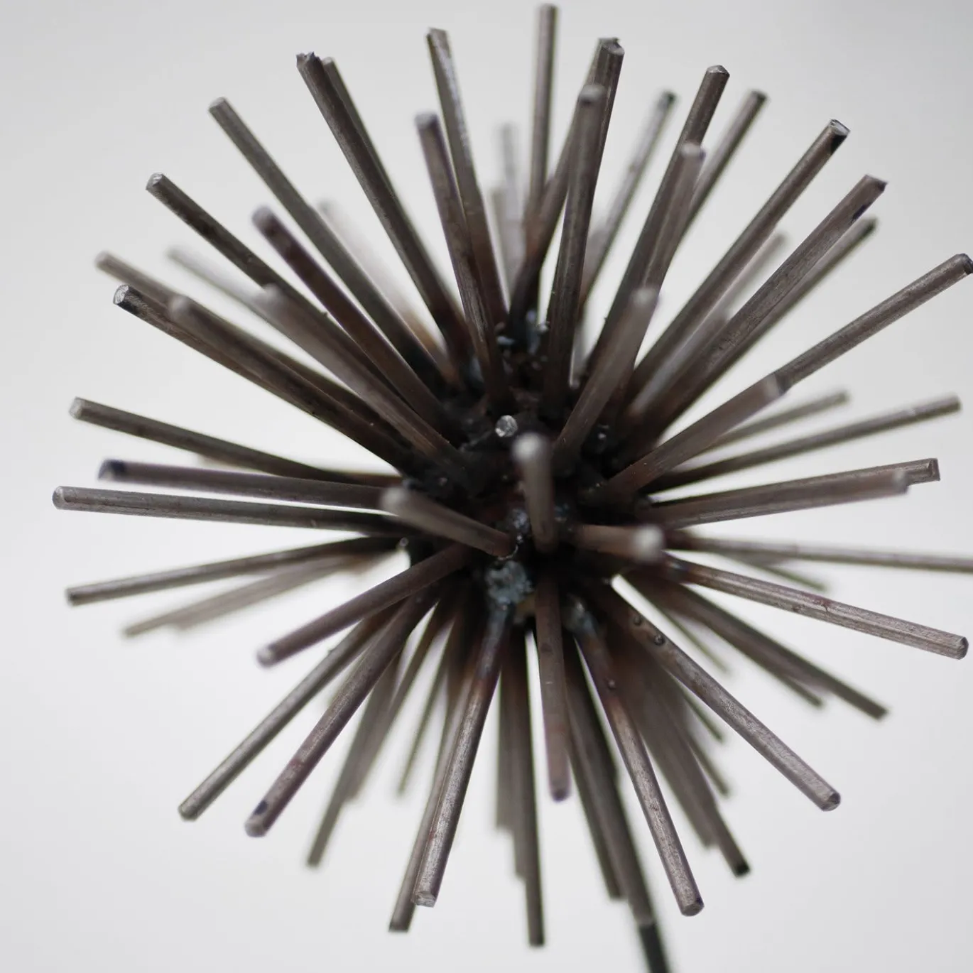 Scultura Il Soffione