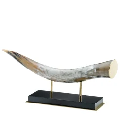 Scultura in corno di Cigno