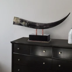 Scultura in corno nero