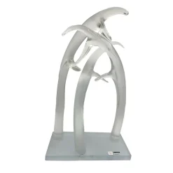 Scultura in cristallo trasparente Corni