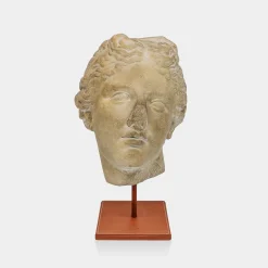 Scultura in gesso con base in pelle Venere di Arles