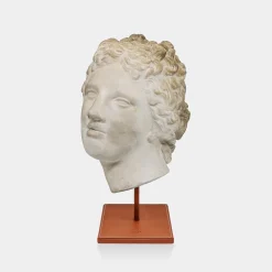 Scultura in gesso con base in pelle di Afrodite