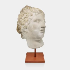 Scultura in gesso con base in pelle di Afrodite