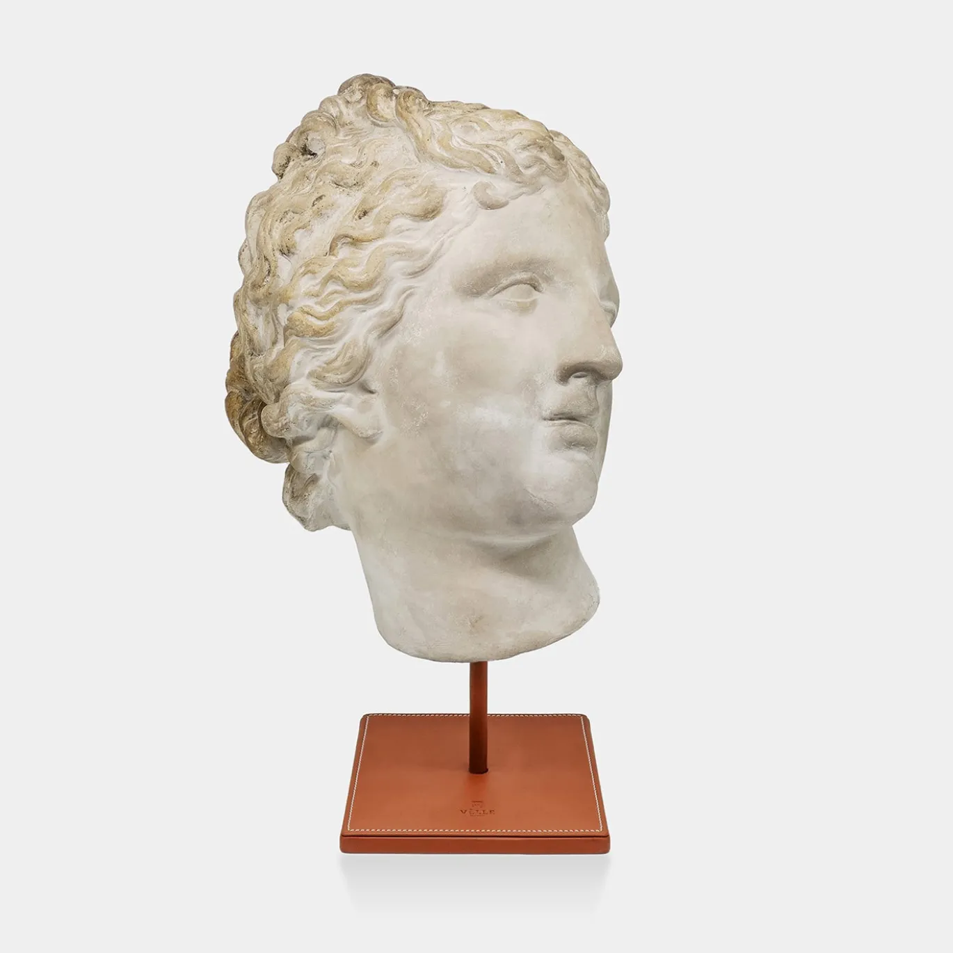 Scultura in gesso con base in pelle di Afrodite