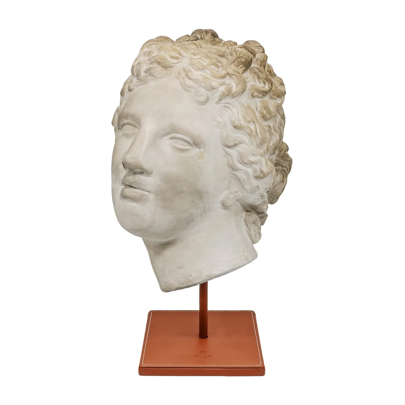 Scultura in gesso con base in pelle di Afrodite