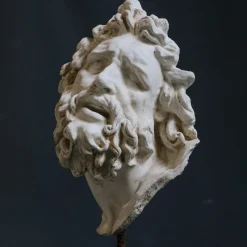 Scultura in gesso con testa di Laocoonte