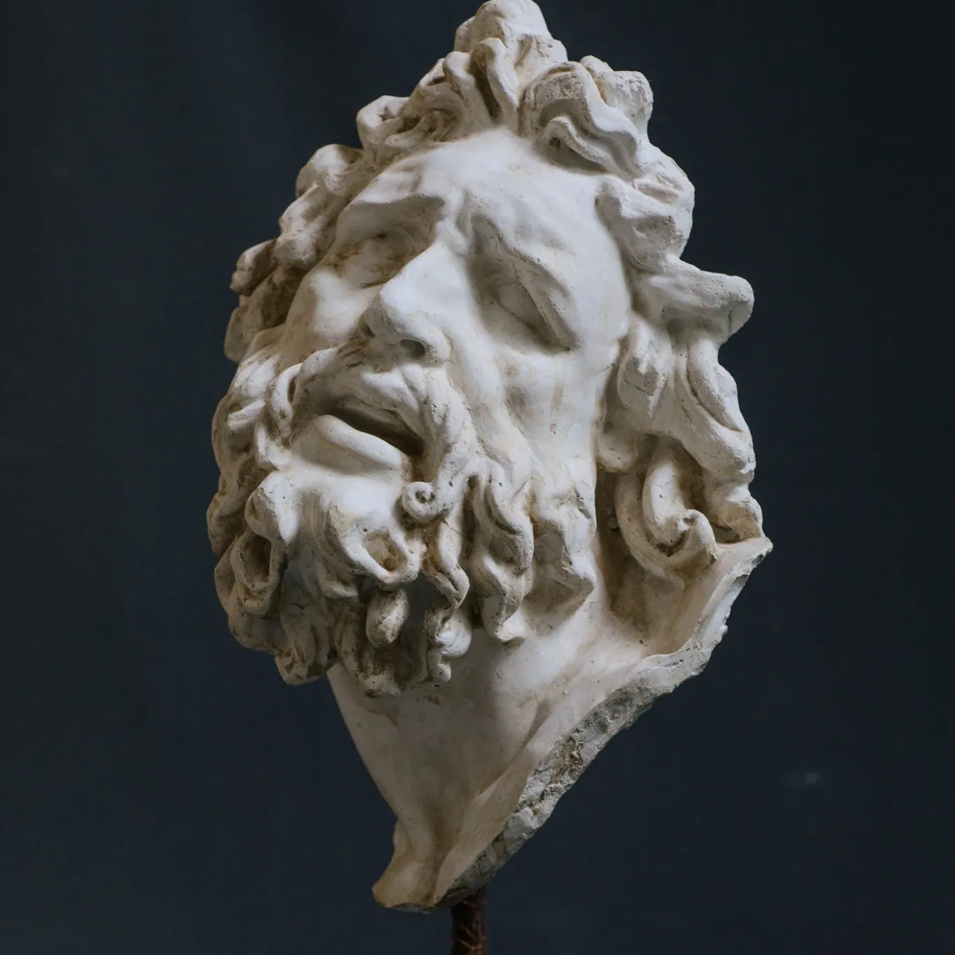 Scultura in gesso con testa di Laocoonte