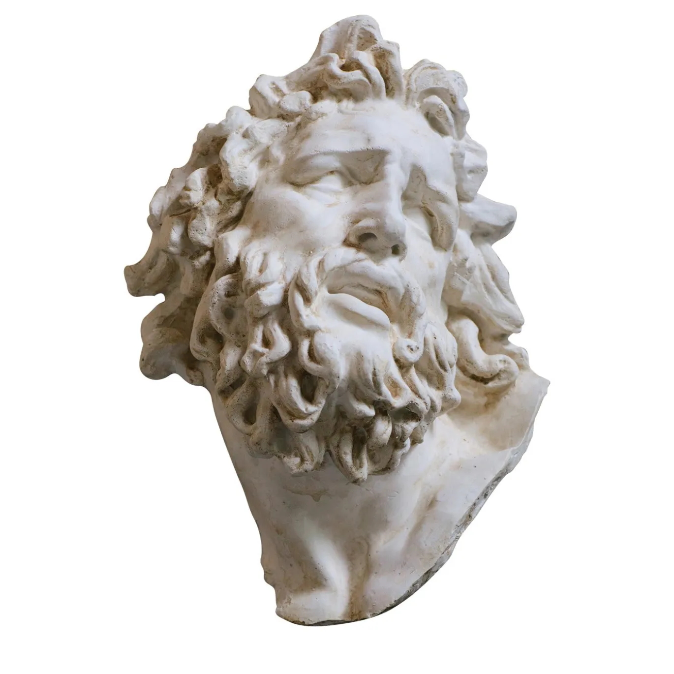 Scultura in gesso con testa di Laocoonte