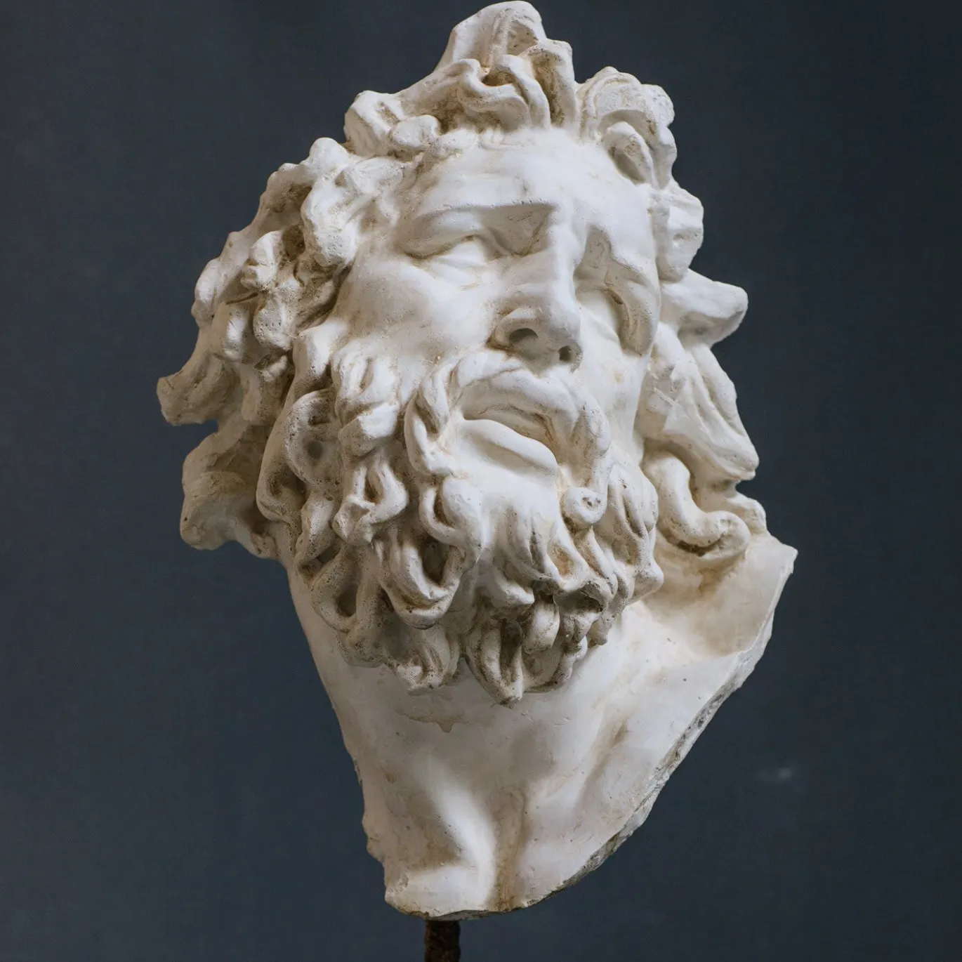 Scultura in gesso con testa di Laocoonte