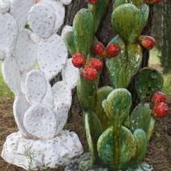 Scultura policroma di fico d'India