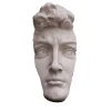 Scultura Profilo di David in Gesso Bianco