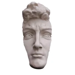 Scultura Profilo di David in Gesso Bianco