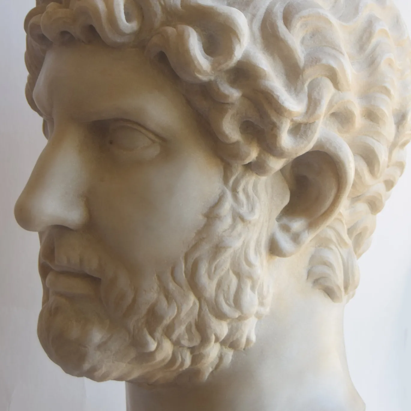 Scultura testa di Adriano Imperatore in marmo bianco di Carrara