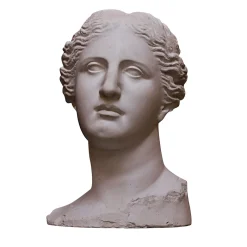 Scultura Testa Venere di Milo in Gesso Bianco