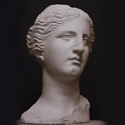 Scultura Testa Venere di Milo in Gesso Bianco