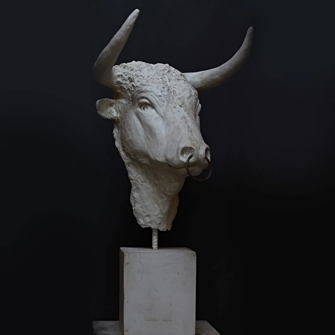 Scultura Toro