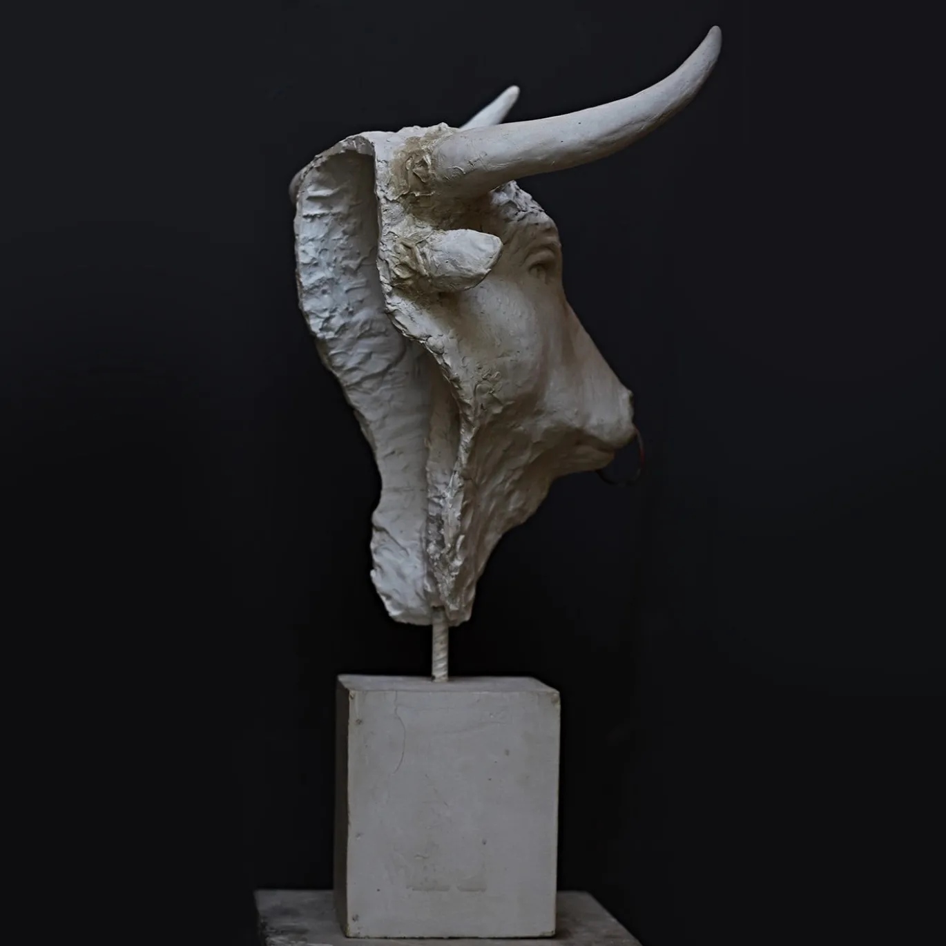 Scultura Toro