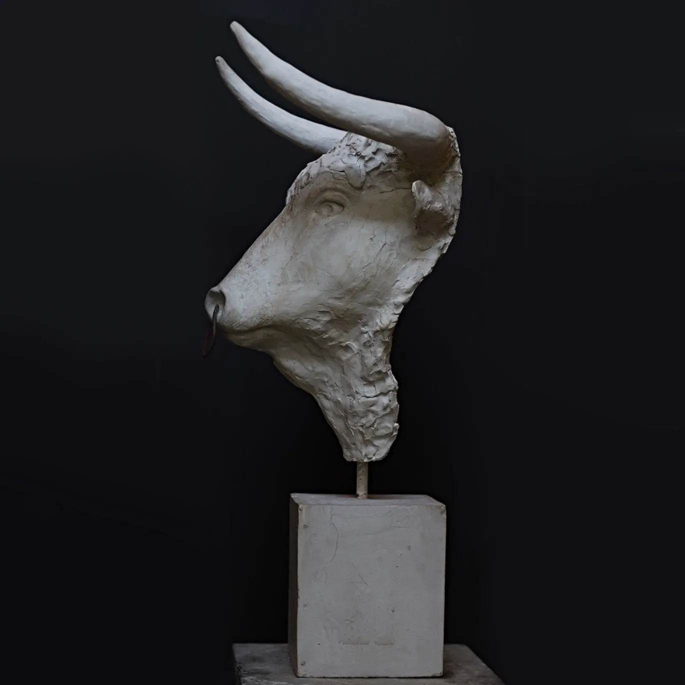 Scultura Toro