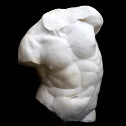 Scultura Torso Gaddi Piccolo in Gesso Bianco