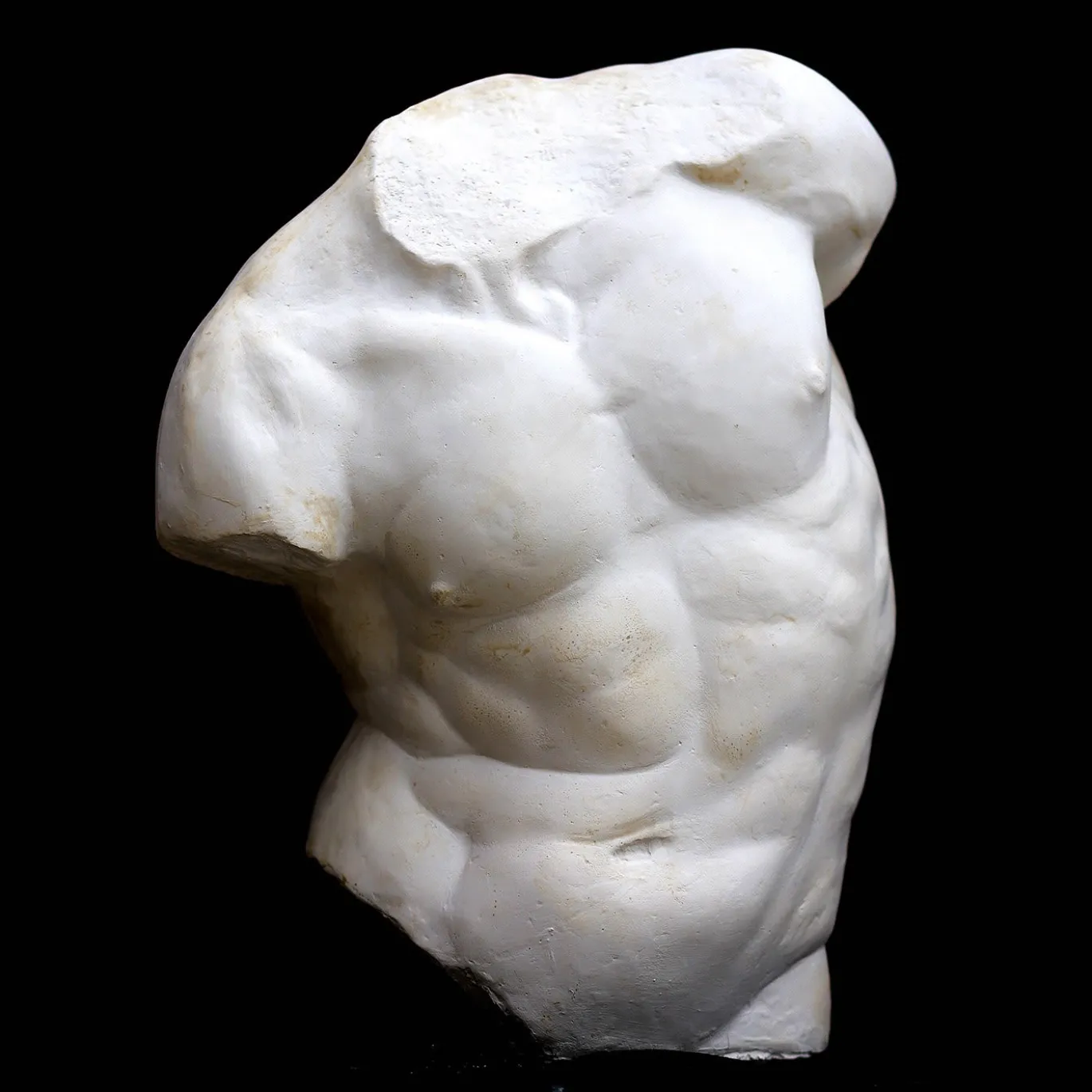 Scultura Torso Gaddi Piccolo in Gesso Bianco