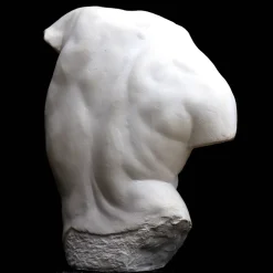 Scultura Torso Gaddi Piccolo in Gesso Bianco