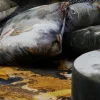 Set di 2 Cuscini Quadrati in Velluto con Effetto Vulcano