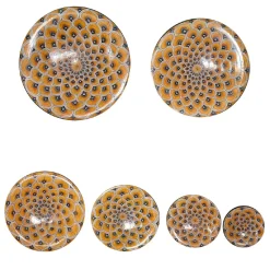 Set di 6 piatti decorativi con piume di pavone giallo