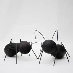Set di 2 sculture Formiche