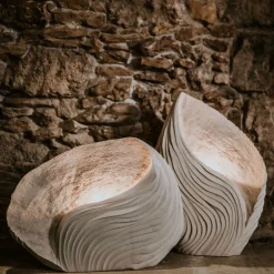Set di 2 Sculture Luminose Madrepora Lampada da Tavolo Beige