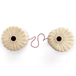 Set di 2 Vasi Decorativi Simbiosi di Alessia Clemente