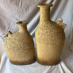 Set di 2 Vasi Origine Irraggiungibile in ceramica della Collezione Micromondo