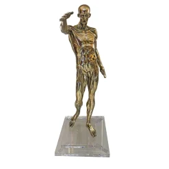 Statuetta Anatomia in ottone