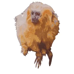 Tappeto Monkey di Estudio Campana