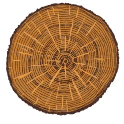 Tappeto Rotondo The Tree Calendar in Lana Arancione