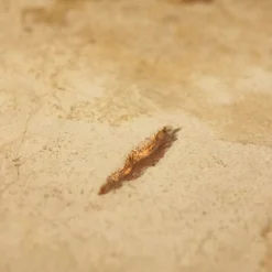Tavolino da caffè in resina e bronzo Aurisino