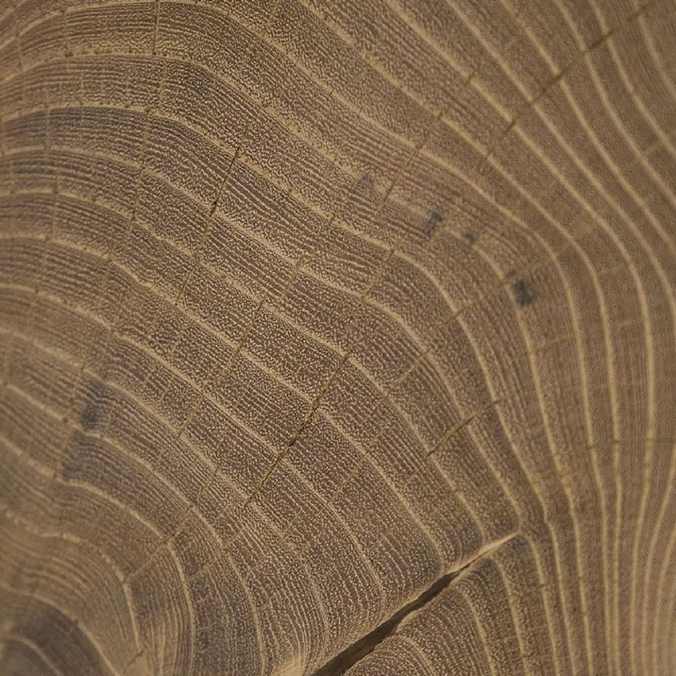 Tavolino da caffè Ombra in legno con base in acciaio tubolare