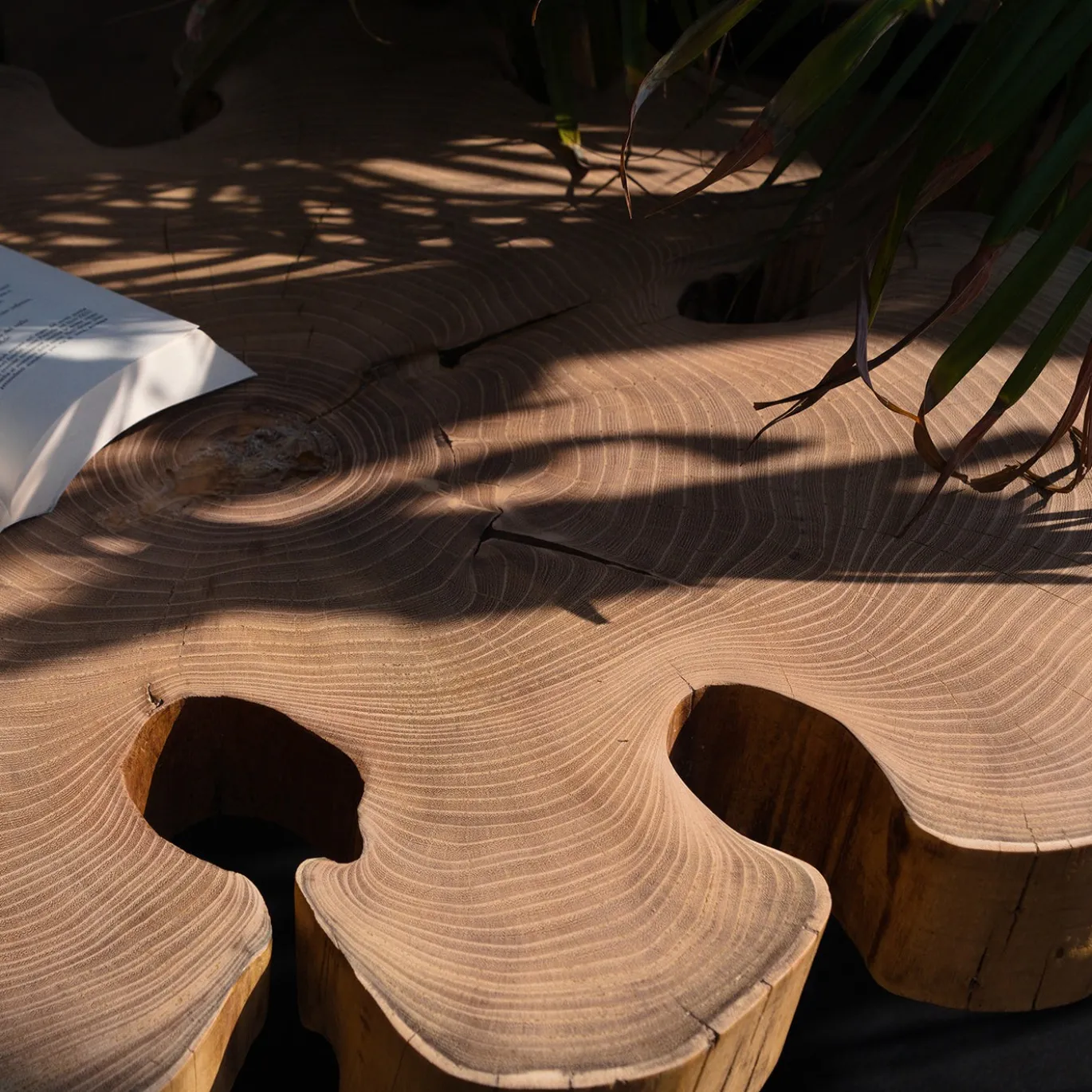 Tavolino da caffè Ombra in legno con base in acciaio tubolare