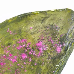 Tavolino da caffè scultoreo ovale Alae verde