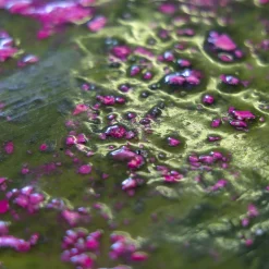 Tavolino da caffè scultoreo ovale Alae verde